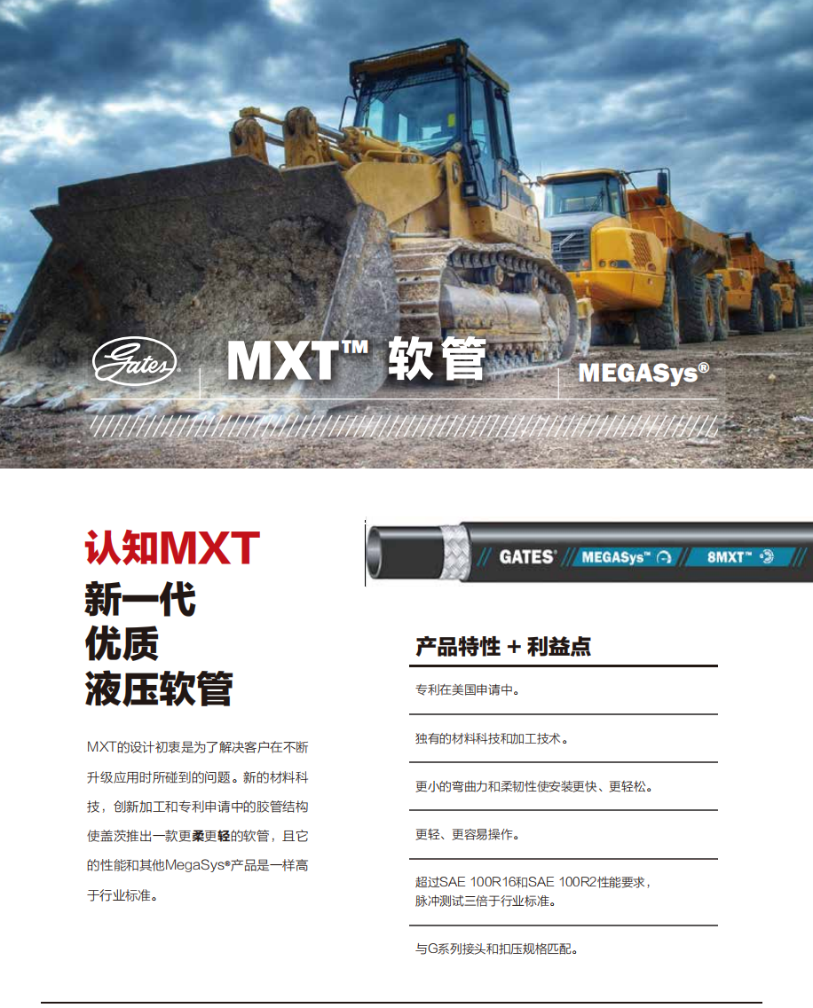 MXT7.png